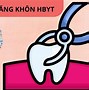 Bảo Hiểm Y Tế Doanh Nghiệp Đóng Bao Nhiêu