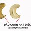 Giá Hạt Điều Sống