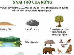 Trình Bày Vai Trò Của Rừng Đối Với Con Người