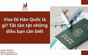 Visa E6 Hàn Quốc Là Gì